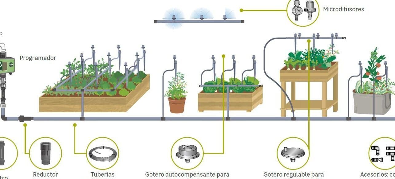 Aprende A Plantar Puerros En Tu Huerto Urbano Tips Y Consejos